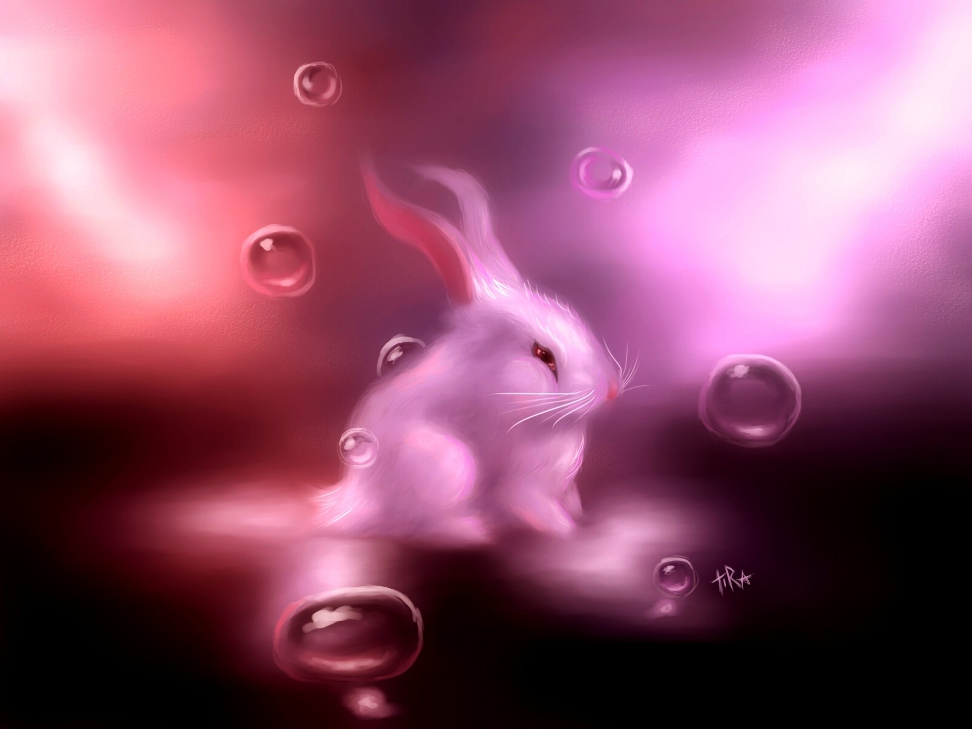 art rabbit bunny hare white pink bubble