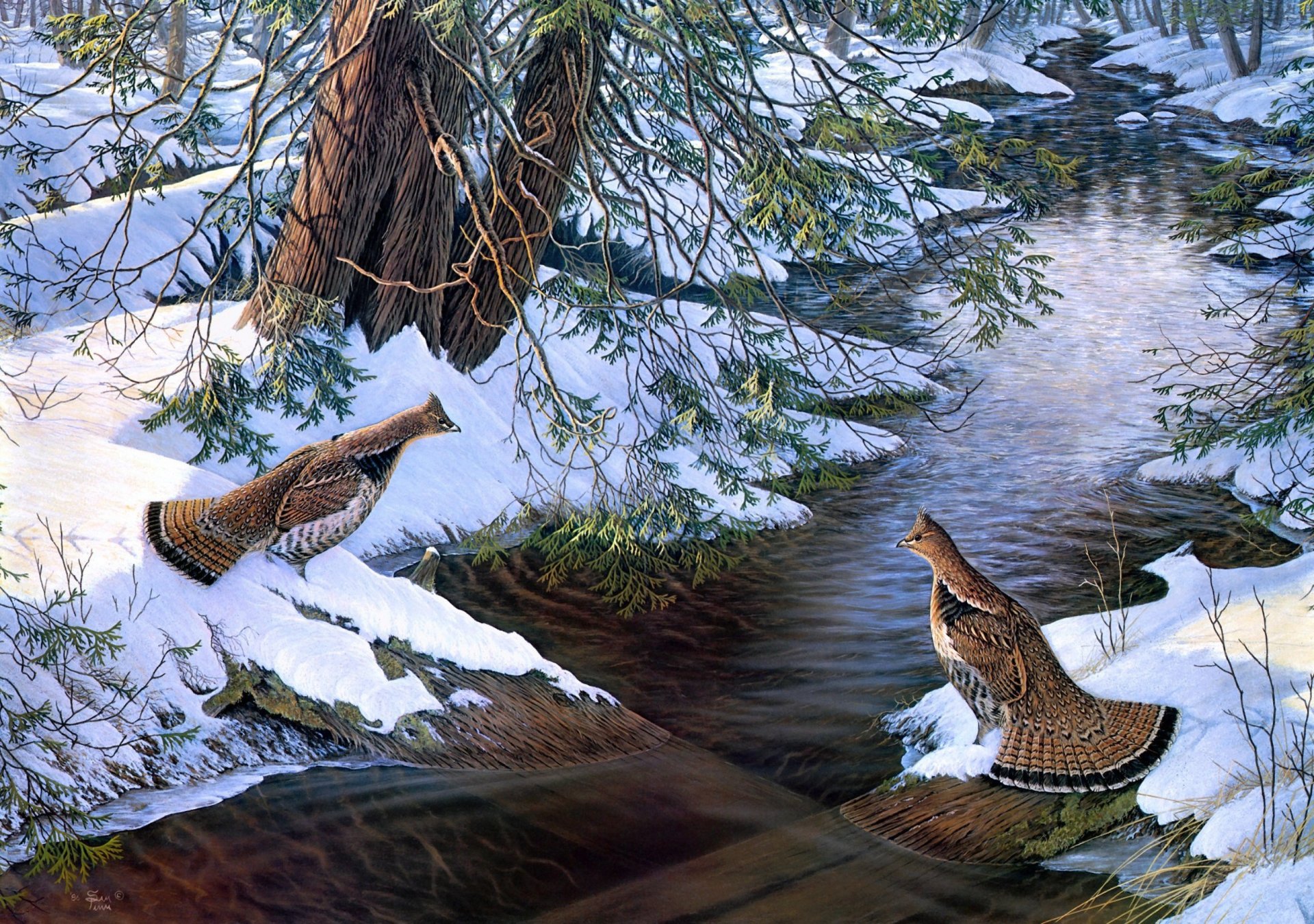 encuentro casual sam timm pintura nieve río pájaro puente roto arroyo encuentro perdiz bosque perdiz