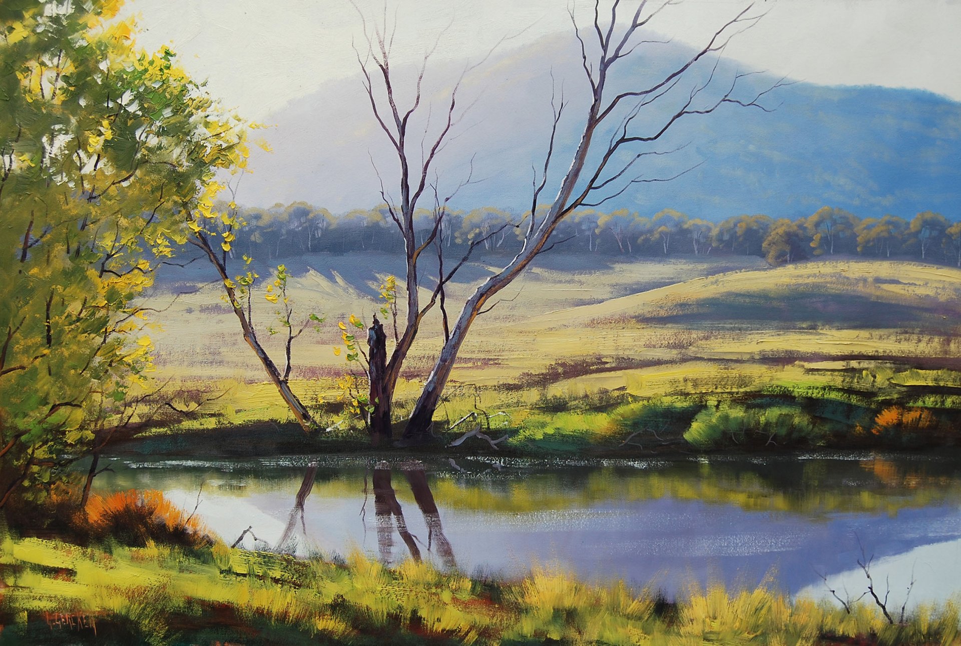 arte dibujo artsaus fish river tarana