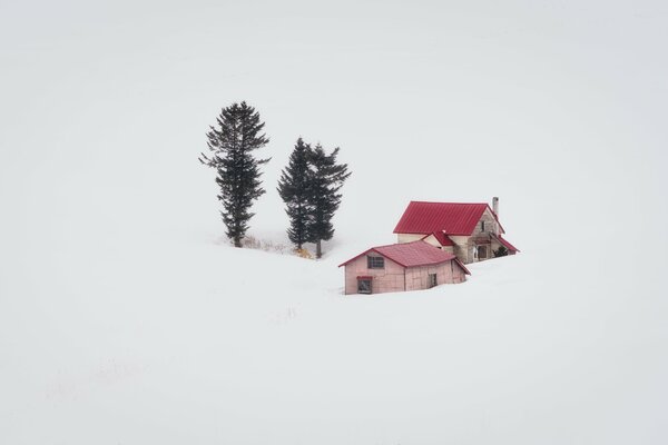 Minimalism house and trees on a white background