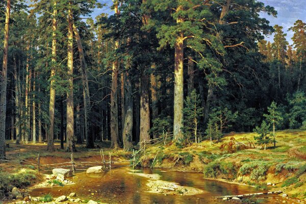 La forêt dense attire par sa beauté et son attrait