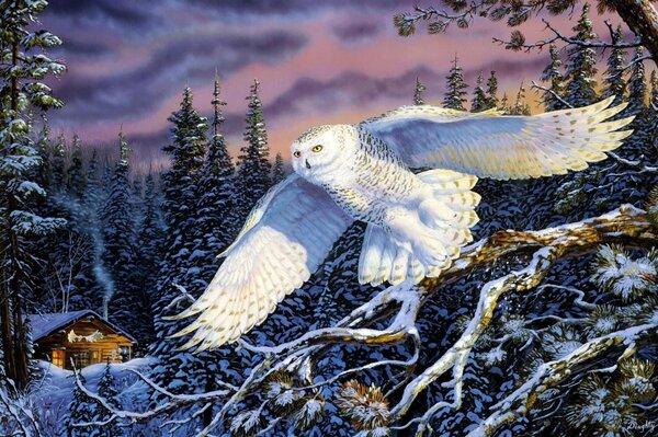 Landscape flying owl in the winter forest