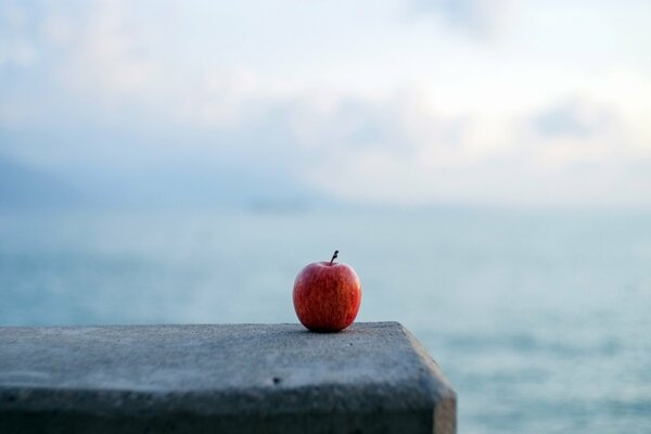 Minimalismus einsamer Apfel am Wasser