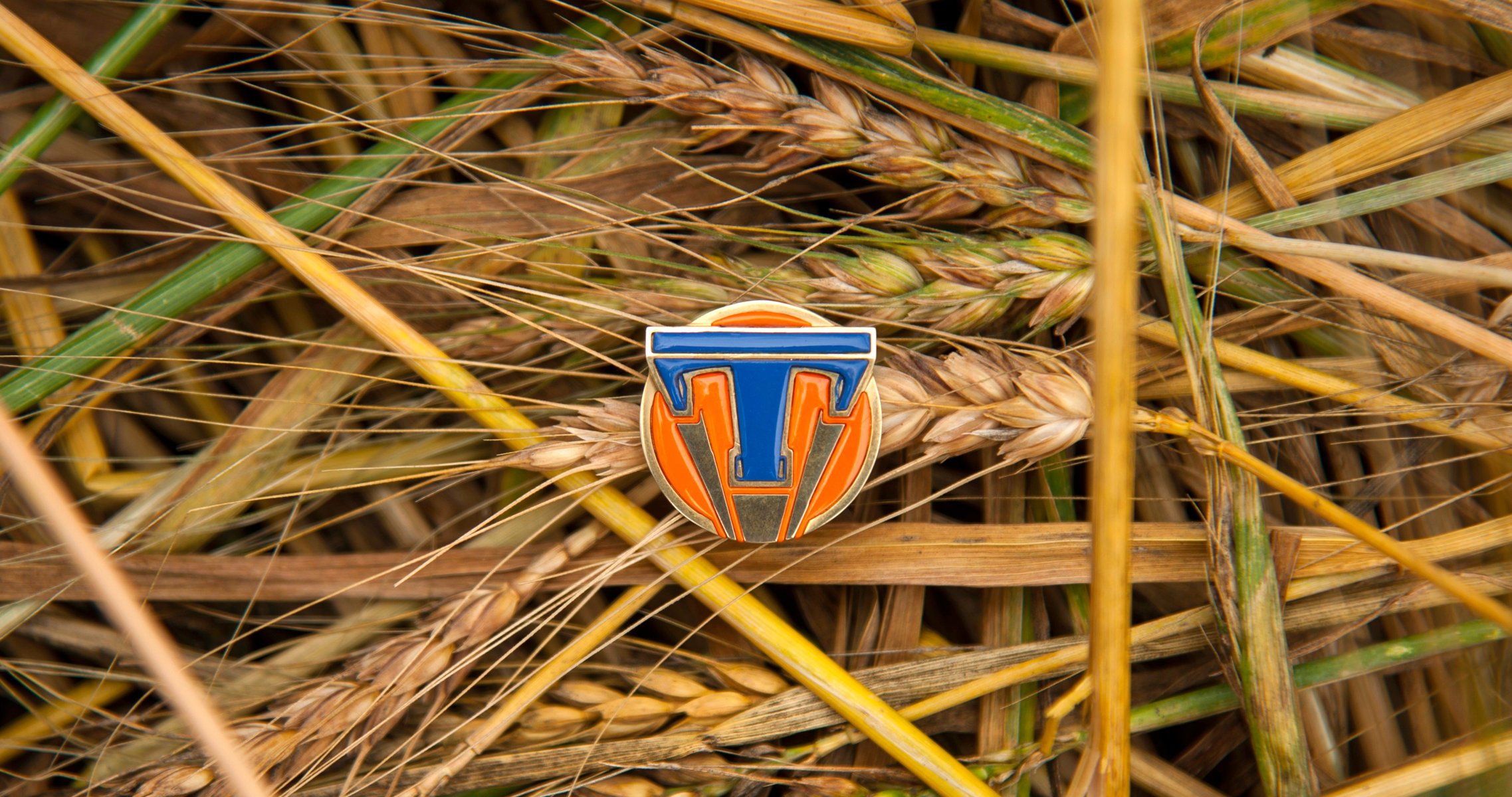 future land tomorrowland emblem logo