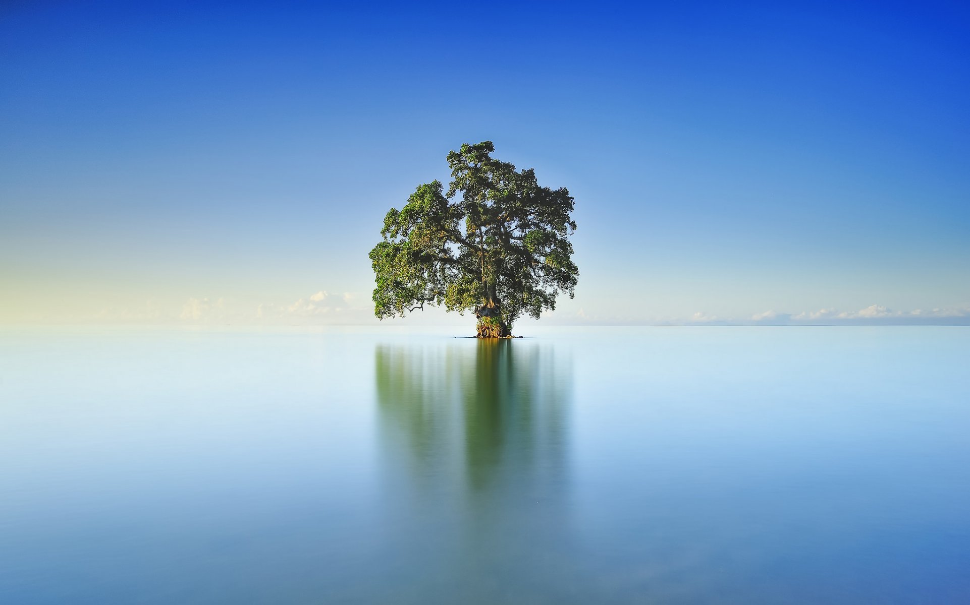 lago albero cielo specchio riflessione nuvole