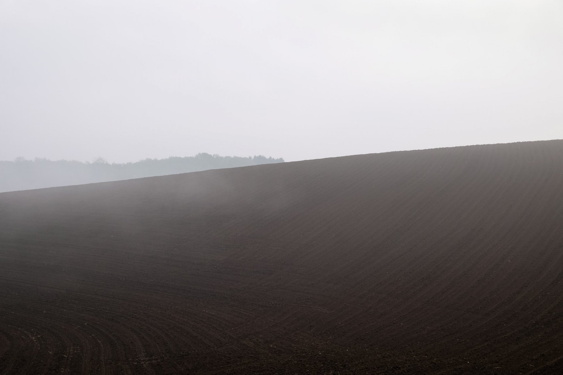 feld nebel natur