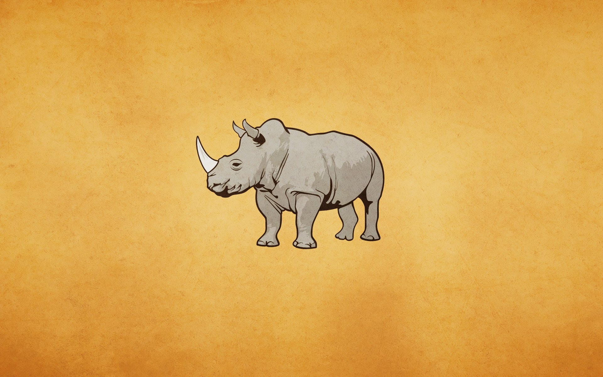 rhinocéros fond clair