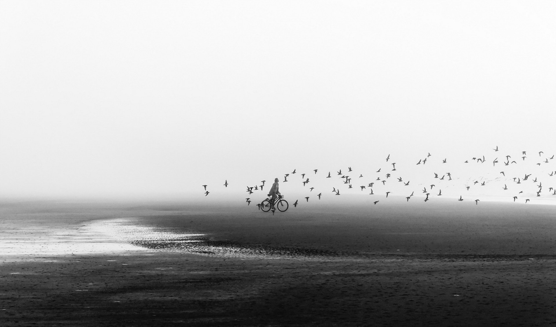 bike beach bird