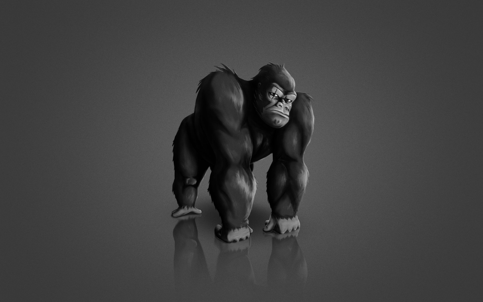 monkey gorilla dark background animal