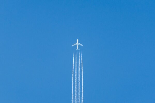 The plane takes off into the sky