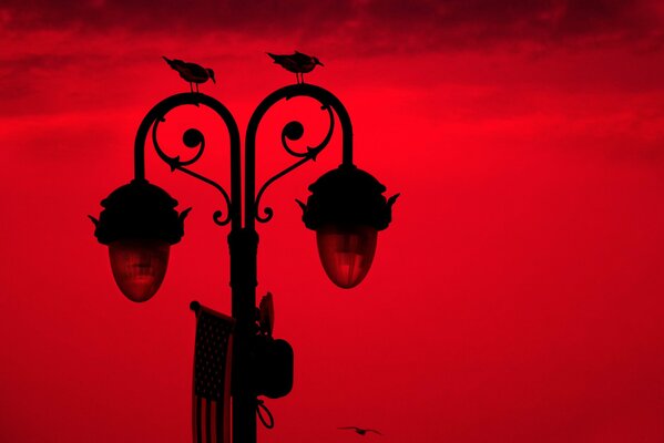 Photo lanterns and birds