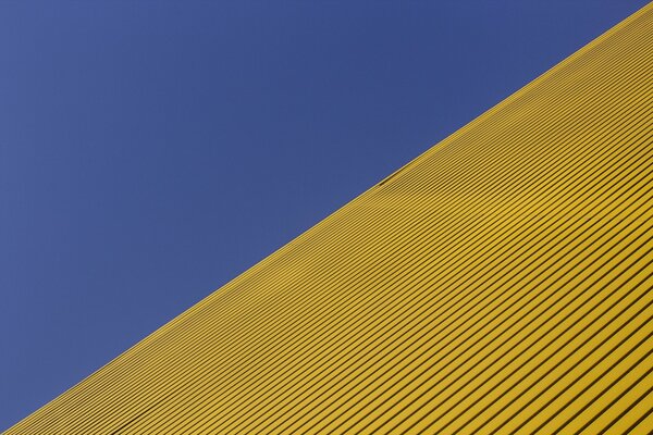 A yellow field under a blue sky