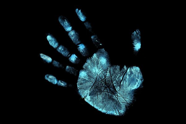 Human palm and finger print