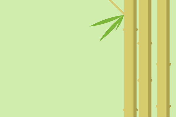 Bamboo stems on a green background