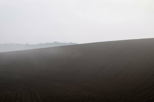 A clear field in the morning in the fog