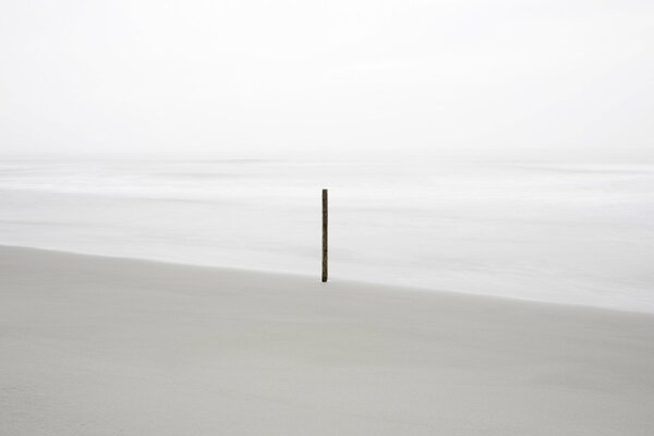 Mer calme. Un rivage propre. Bâton solitaire