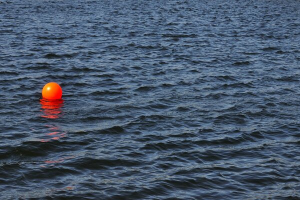 Bola naranja en la superficie del agua