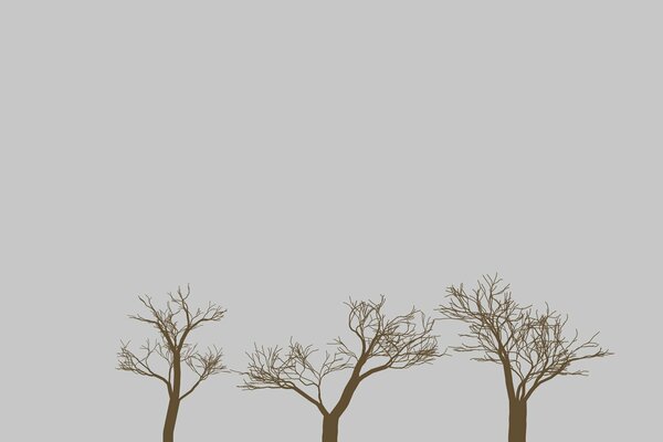 Bare tree crowns on a gray background