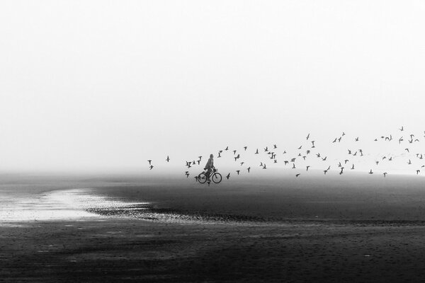 Hombre en bicicleta en la playa y pájaros volando sobre él