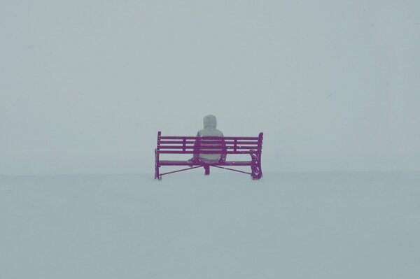 The man on the pink bench in winter