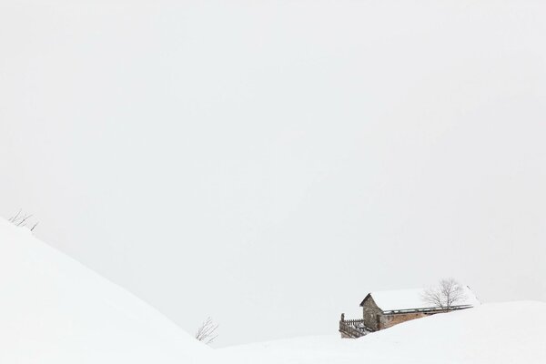 Casa in piedi in mezzo al campo in inverno nella nebbia