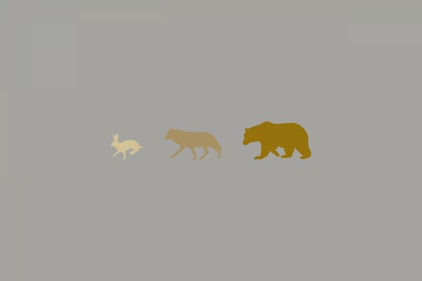 Gama de animales: oso, lobo , liebre