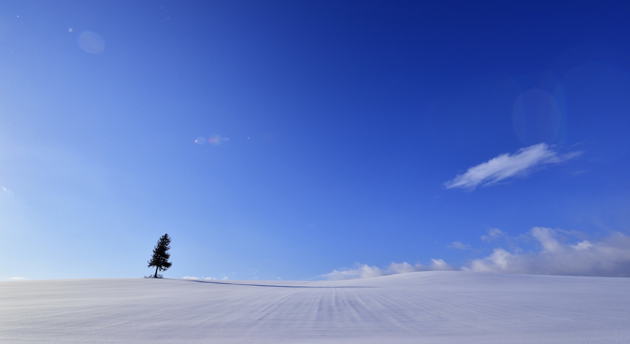 the field tree landscape minimalism