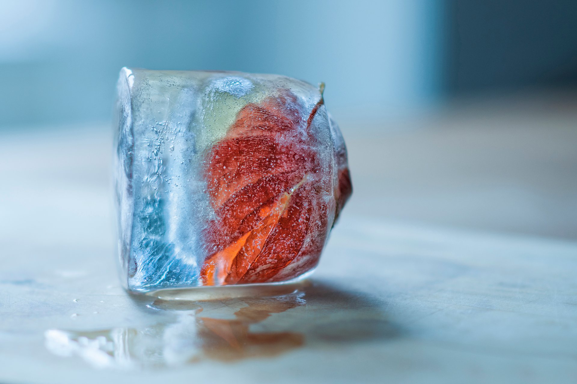 frozen cube