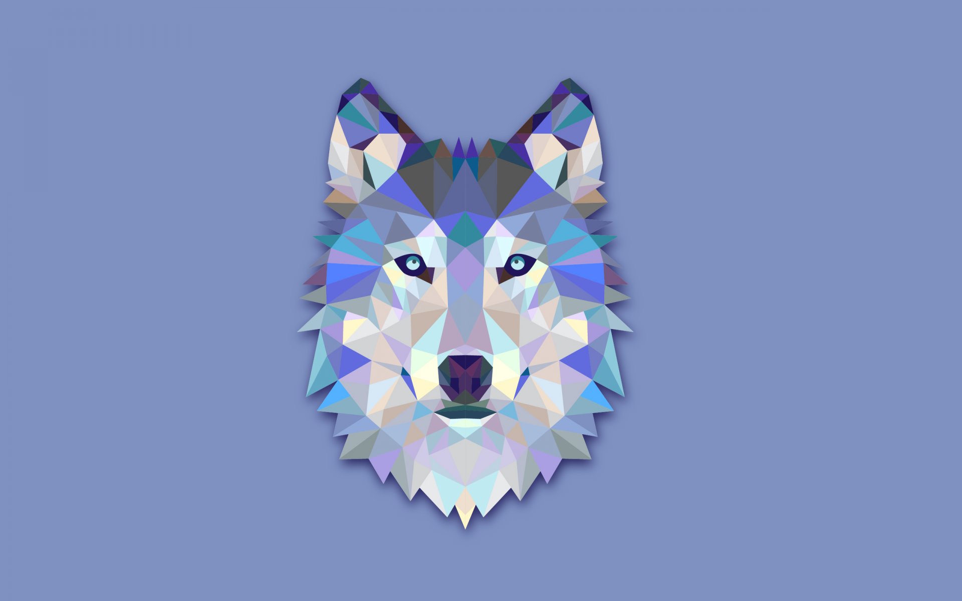 wolf kopf abstraktion minimalismus heller hintergrund