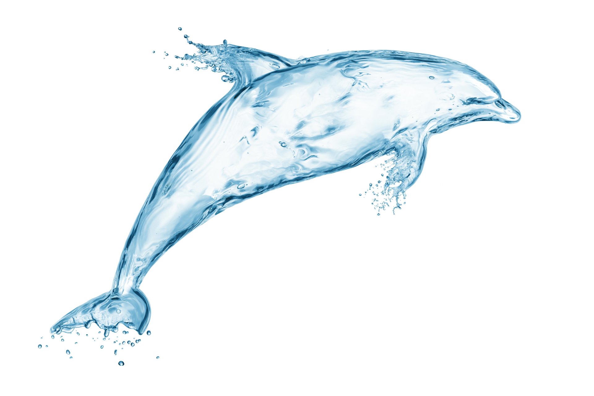 water drops screensavers creativity art dolphin splash splash drawing creative art