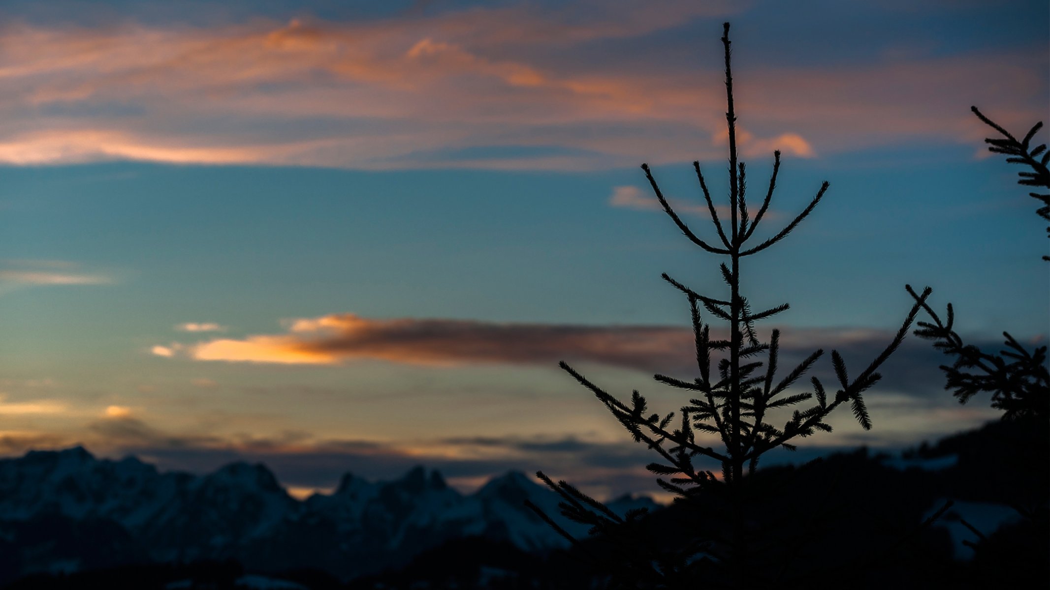 natura montagne svizzera