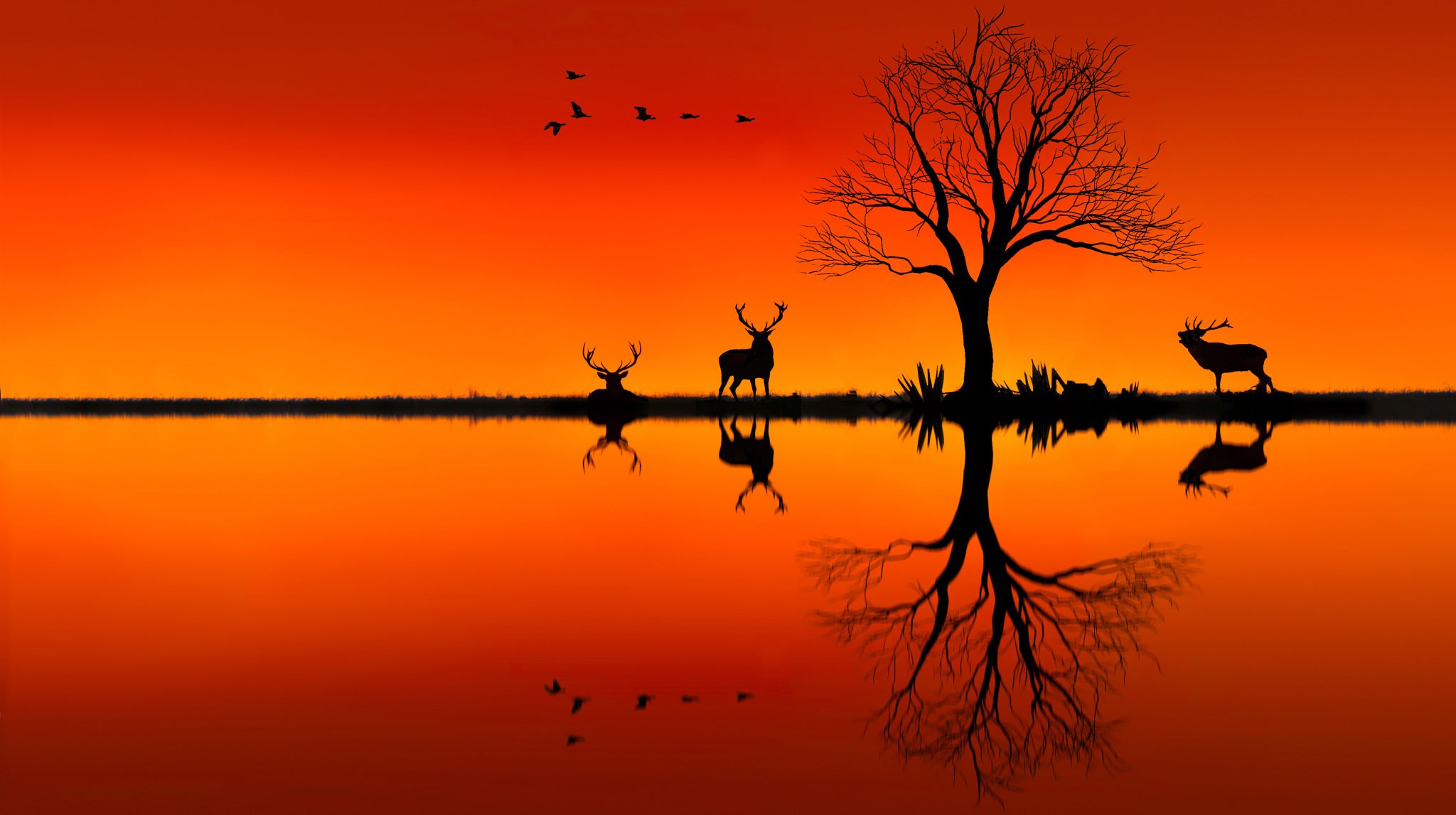 tree reindeer silhouettes sunset