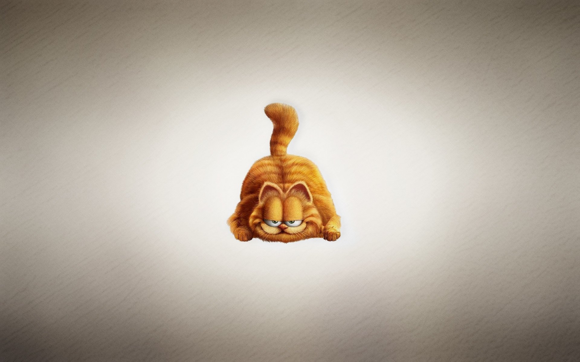 garfield gatto rossa paffuto muso furbo sfondo chiaro