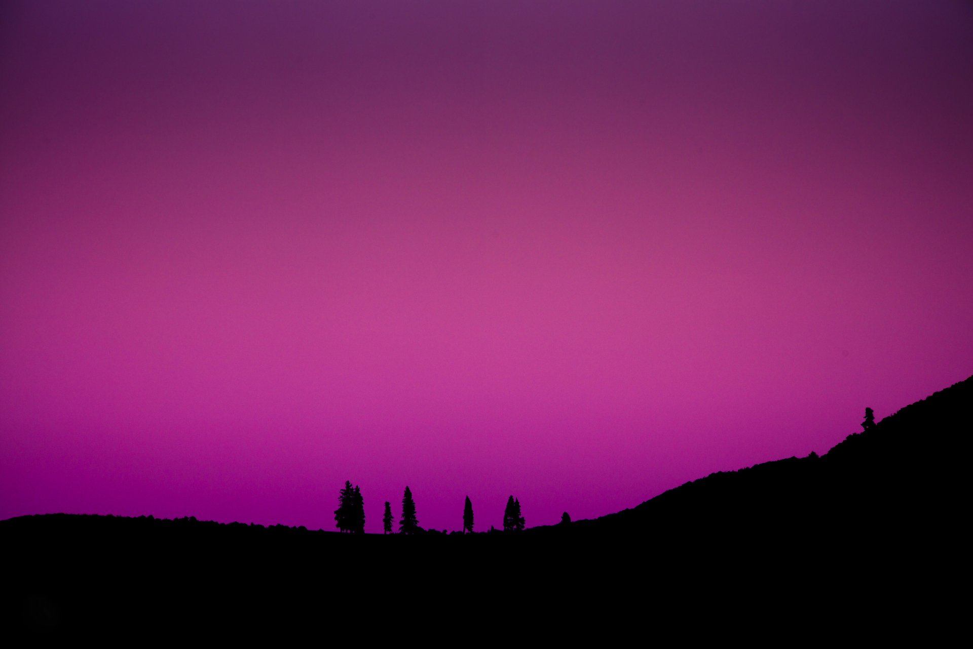 ciel lueur montagnes arbres nature