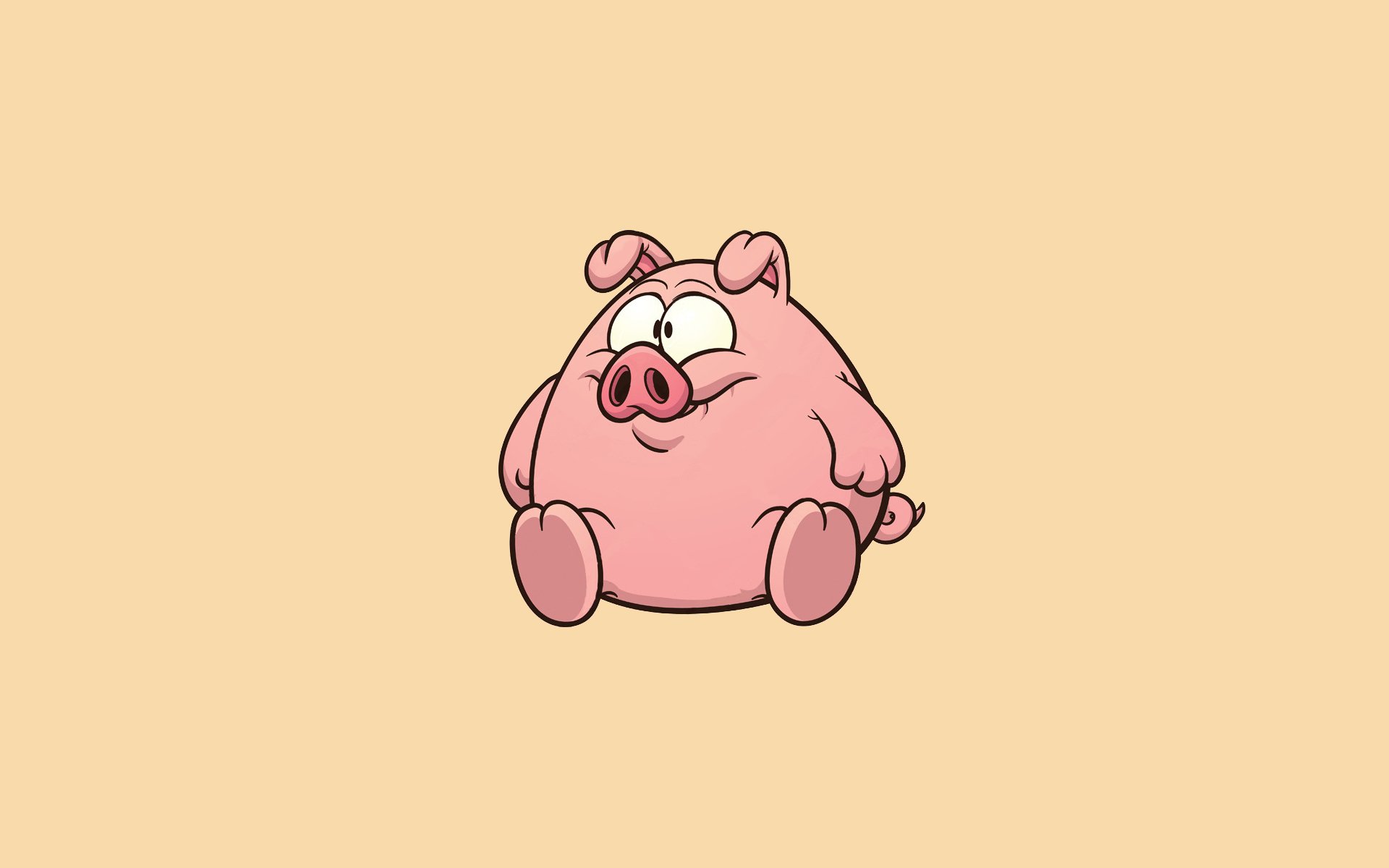 pig light background minimalism pig