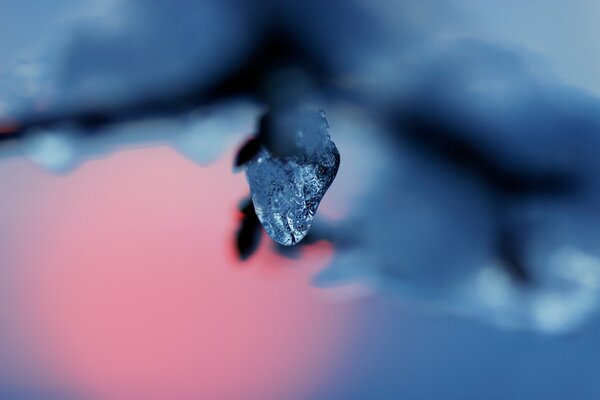 A piece of ice hanging from a snowy twig