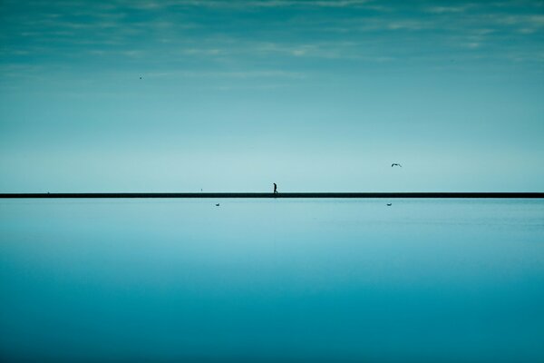 A lonely man with a bird on the horizon of the sea