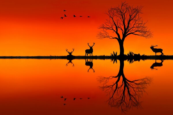 Atardecer. Un árbol de ciervos y una bandada de aves se reflejan en el agua