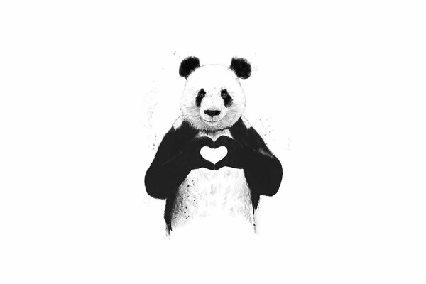 Lindo Panda muestra el corazón