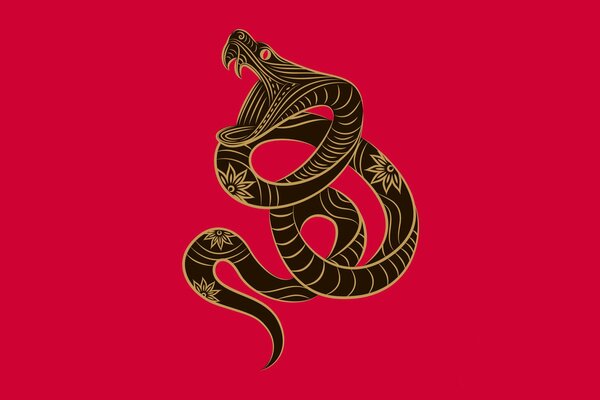 Imagen gráfica de una serpiente en un fondo brillante