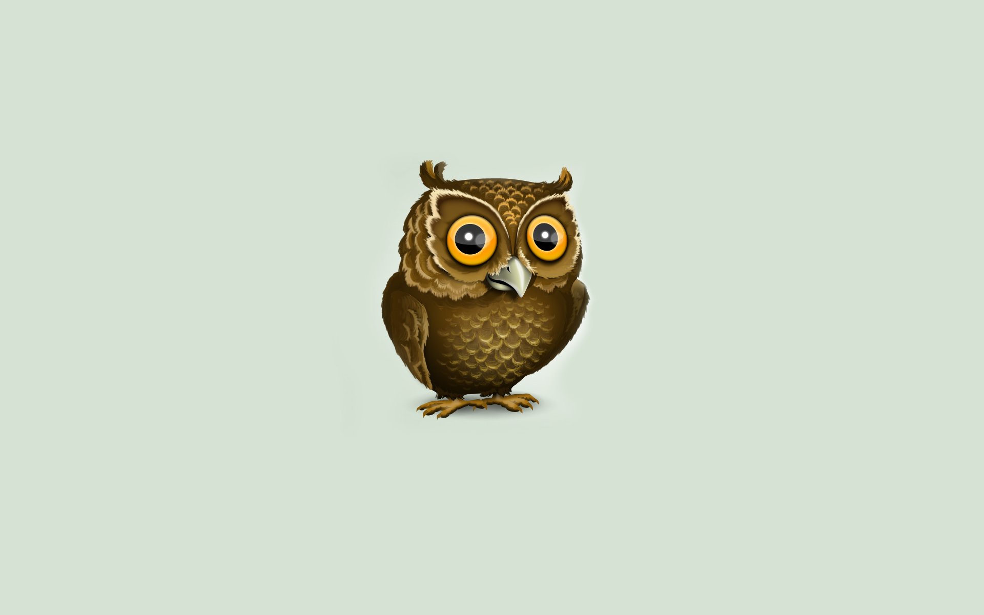 owl minimalism