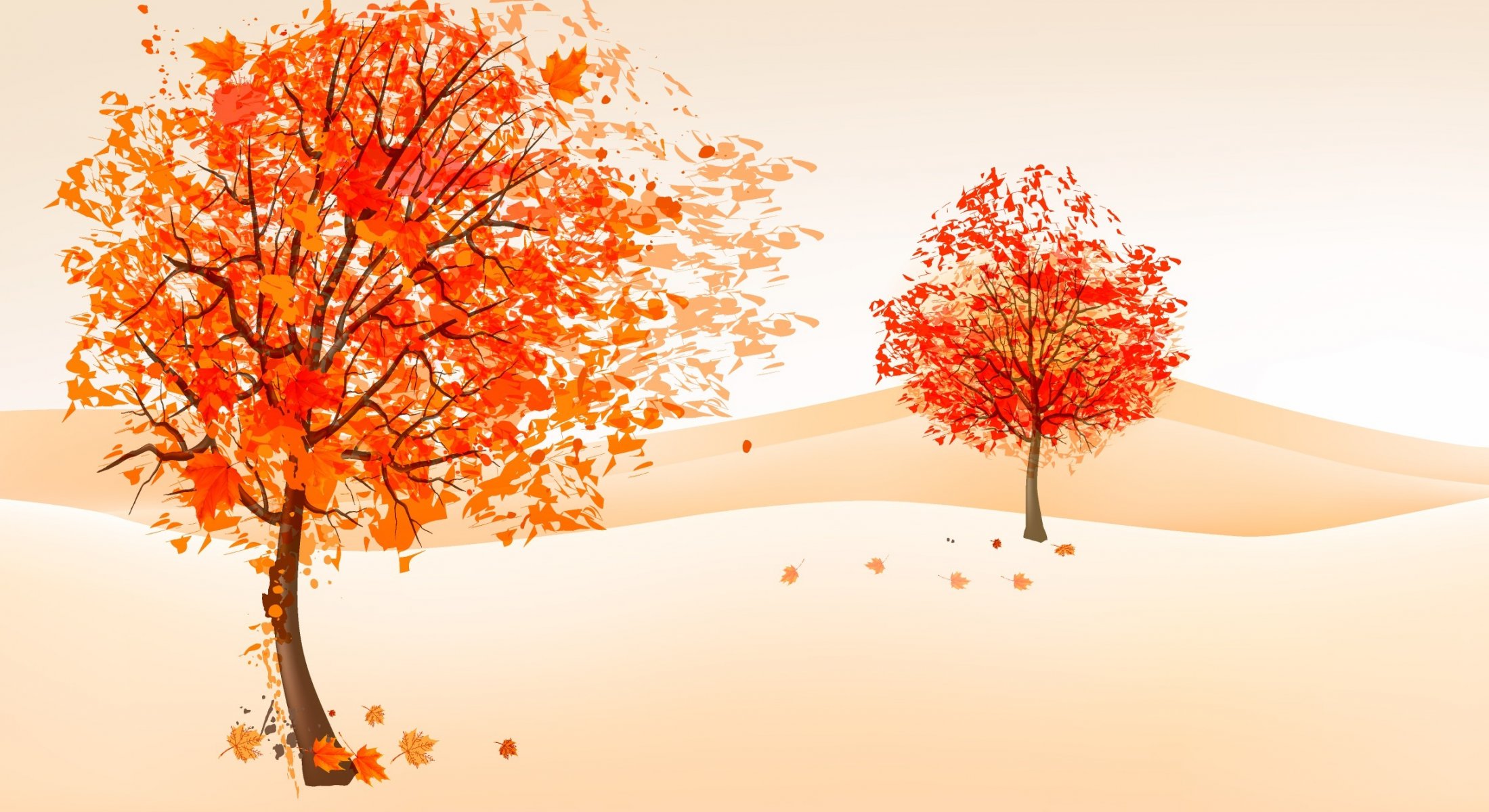 picture autumn tree foliage wind