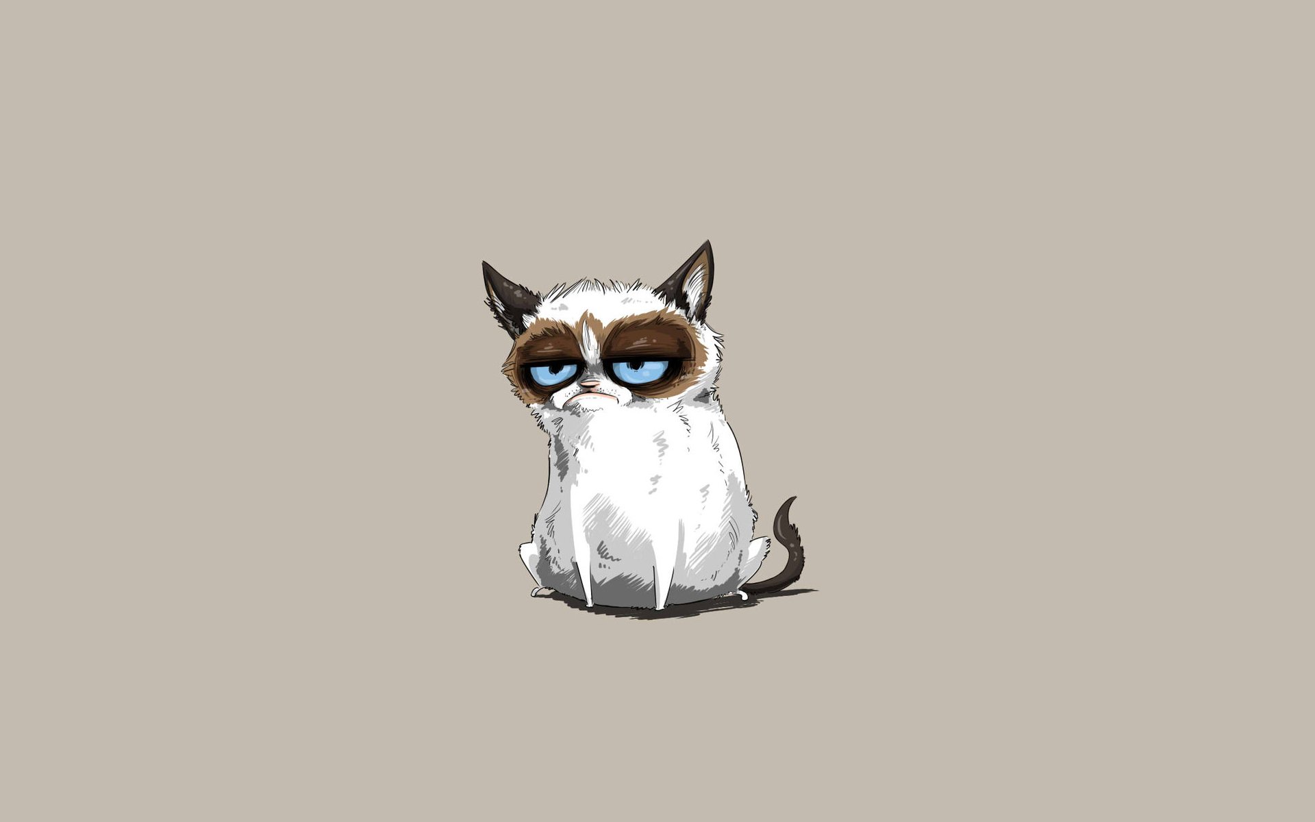 angry cat cat cat grumpy cat tardar sauce tardar sauce minimalism