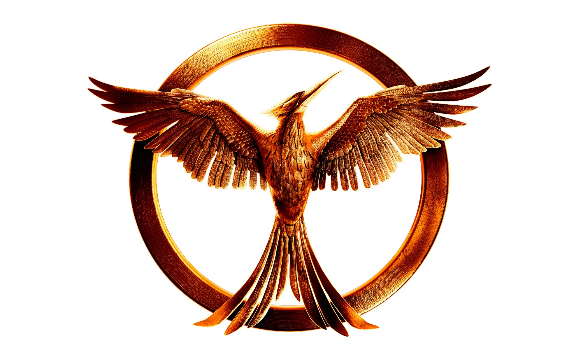 mockingjay сойка пересмешница лого