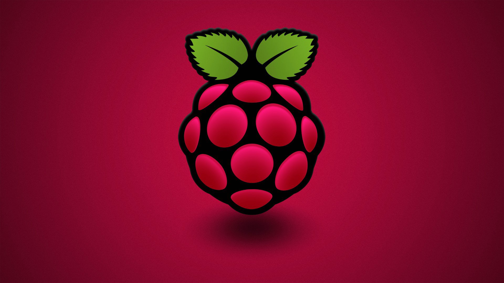 berry raspberry leaf flowers computer raspberry pi