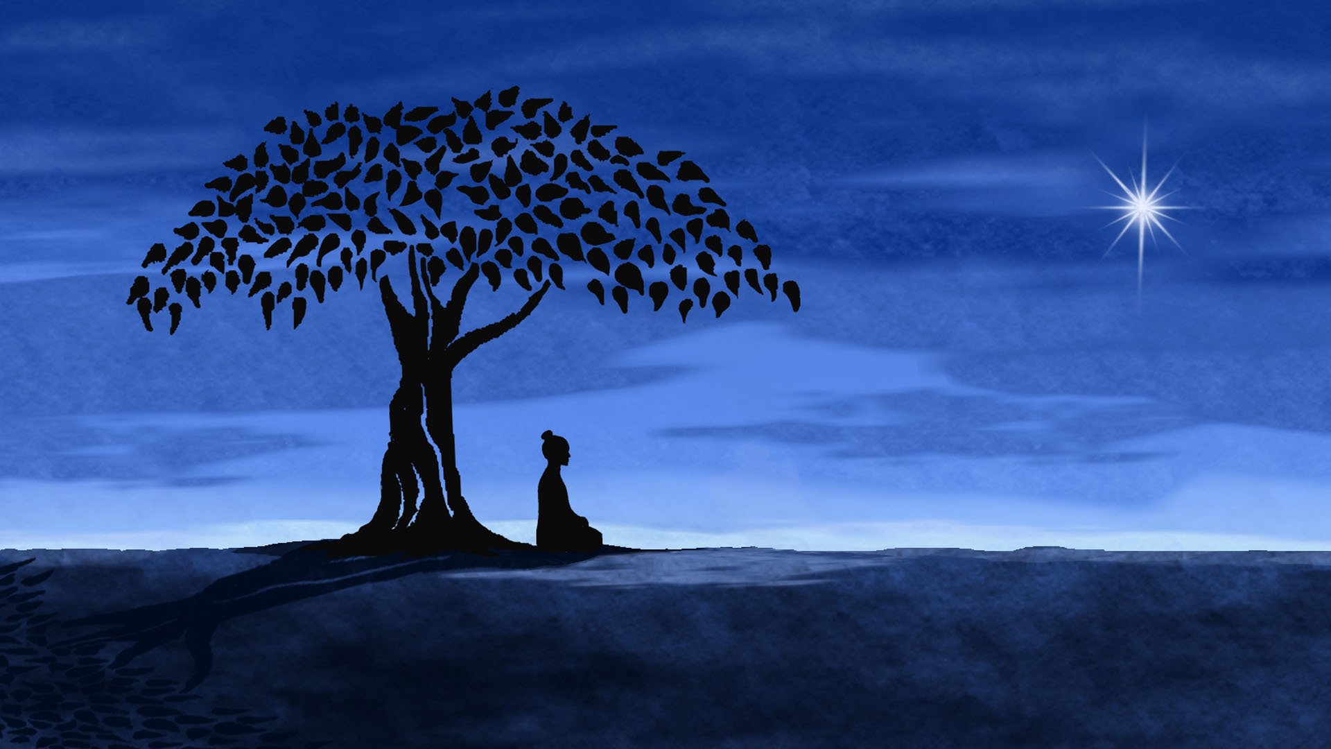 notte albero stella meditazione