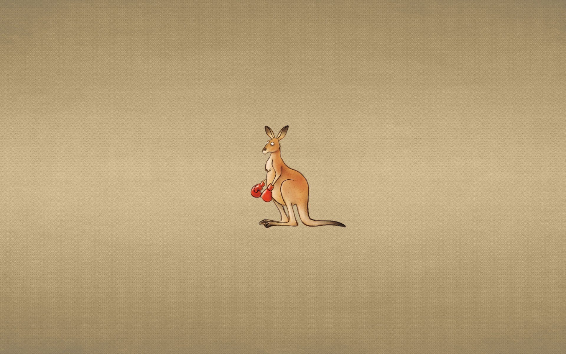 kangaroo boxing gloves dusky background penetrating glance minimalism animal