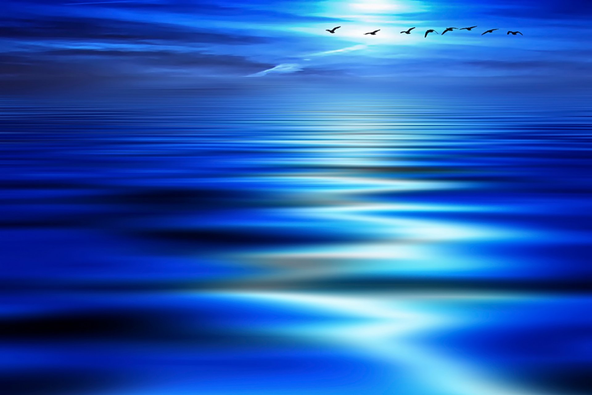 bleu vagues oiseaux