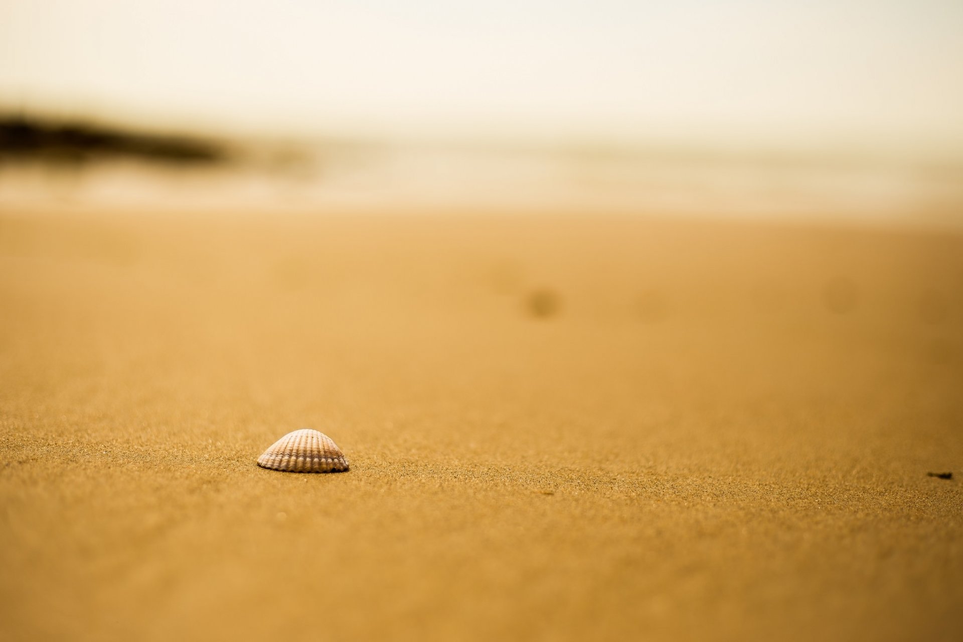 plage sable coquillage bokeh