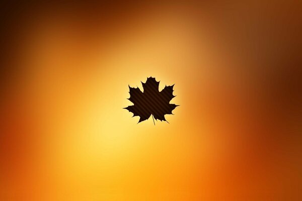 Maple leaf on an orange background